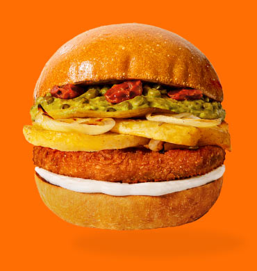 Panino vegetariano PUOK